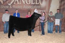 (Contributed Photo) Kinsley Kaylor was named Grand Champion in the Angus division of the Junior Heifer show during the San Angelo Stock Show & Rodeo.