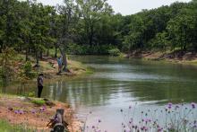 The annual Texas Free Fishing Day is coming to public waterways throughout the state on Saturday, June 6. (Texas Parks and Wildlife Department/Submitted)