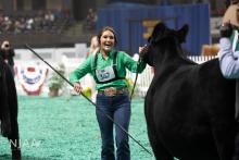 (Contributed Photo/National Junior Angus Association) Breckenridge High School Class of 2025 graduate Kaylee Langford earns top honors at the 2025 North American International Livestock Expo Junior Angus Show, claiming Grand Champion Female with her heifer, UDE Saras Dream 4010.