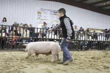 The 2024 Stephens County Junior Livestock Show kicks off Thursday, Jan. 4. File photo
