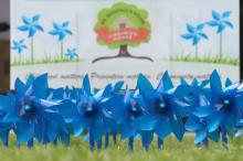 (Photo/Thomas Wallner) Pinwheels that can be purchased from Dr. Goodall’s House that will be displayed through April for Child Abuse Prevention Month.  