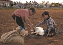 Area kids work together during the Breckenridge Junior Rodeo Goat Bagging Event Saturday.