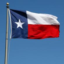 Community members will have a free opportunity later this month to take part in a genealogy workshop hosted by the Picketville Chapter of the Daughters of the Republic of Texas.